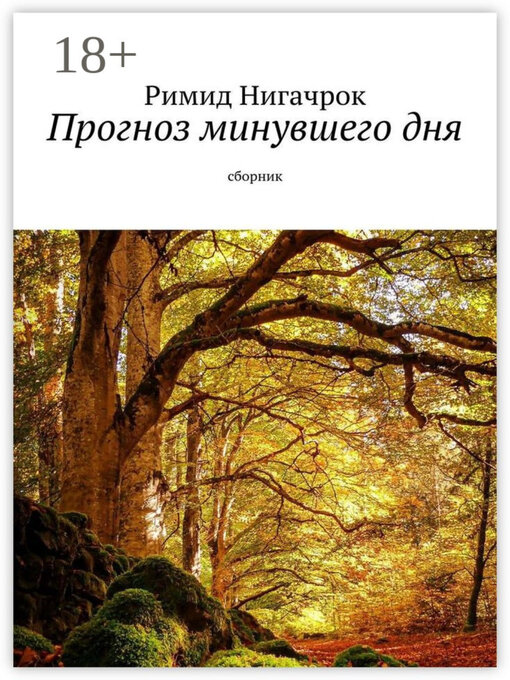 Title details for Прогноз минувшего дня. Сборник by Римид Нигачрок - Wait list